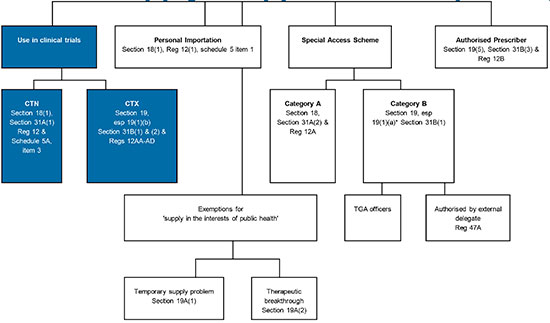 Clinical Trials Phases Flow Chart