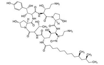 N-Nitroso-caspofungin 