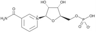 Nicotinamide mononucleotide