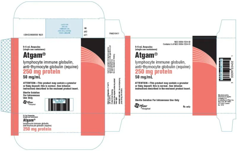 Picture of ​​​ATGAM lymphocyte immune globulin anti-thymocyte globulin (equine) 250mg protein 50mg/mL ampoule - carton