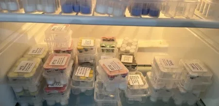 TGA flexes its muscle against illegal peptides and steroids