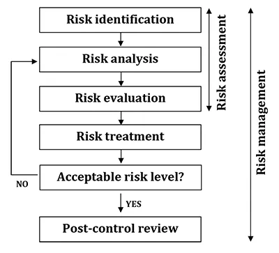 Figure 1 Summary of Risk Management process