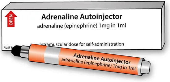 Image showing an example of packaging and labelling of Adrenaline products