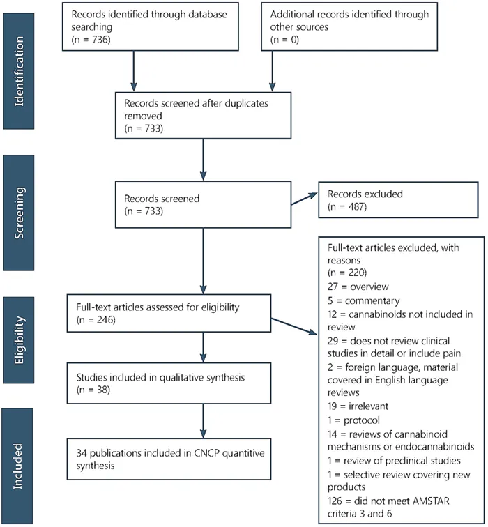Figure A1.2: PRISMA flowchart for pain review of reviews