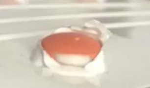Example of damaged tablets after their removal from the packaging