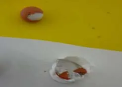 Example of damaged tablets after their removal from the packaging