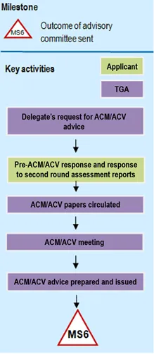 Flowchart of Phase 6: Expert advisory review phase