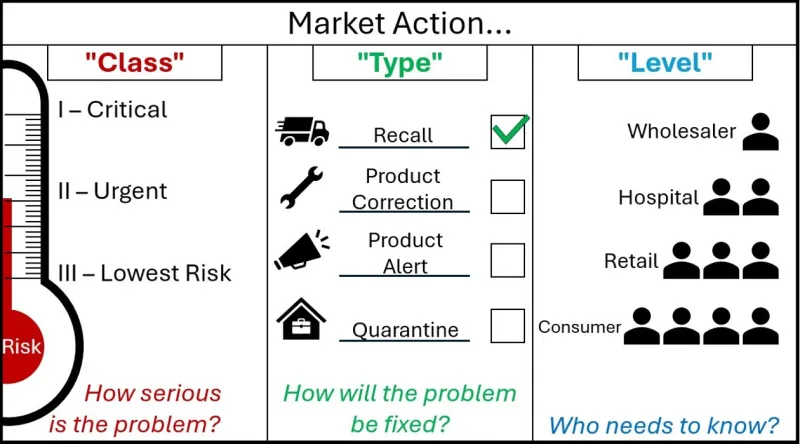 Image describing 3 categories of market action. These are class, type and level. See the long description for more information.